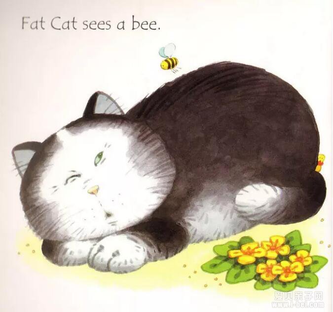 Usborne Phonics Readersϵ Fat cat on a mat˯ϵķè Ķָ