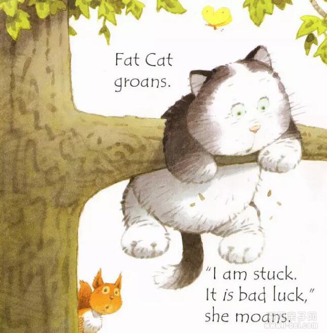 Usborne Phonics Readersϵ Fat cat on a mat˯ϵķè Ķָ