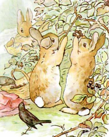 E汾The Tale of Peter Rabbit˵õĹ