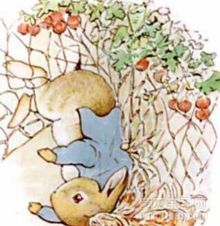 E汾The Tale of Peter Rabbit˵õĹ