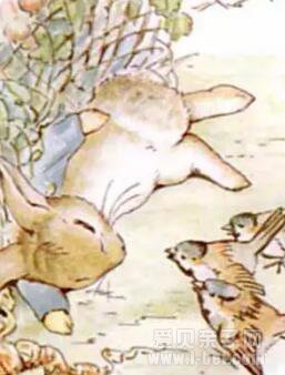 E汾The Tale of Peter Rabbit˵õĹ