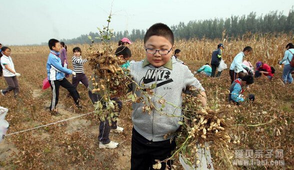 家长带孩子郊区游玩注意事项