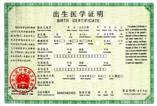 出生证样本