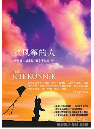 追风筝的人