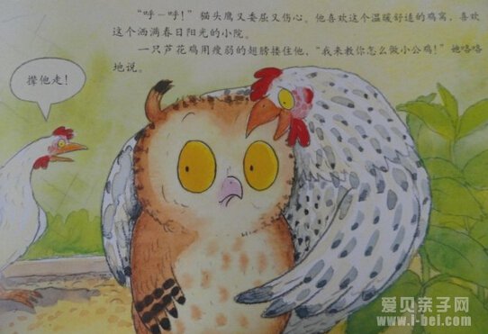 聪明豆第二辑系列丛书小达人点读包