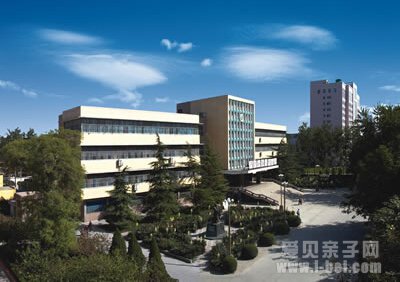 好的学校不一定就适合孩子