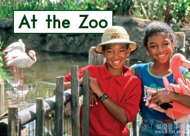 GK“˵”At the Zoo