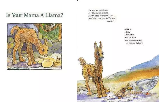 βӻ汾Is Your Mama a Llama